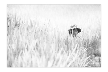 &nbsp; / &quot;Rice&amp;Icon of Vietnam&quot; B&amp;W art photo project