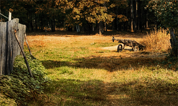 Im Wald am Rande / ***