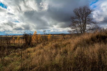 Herbst-Skizzen / ***