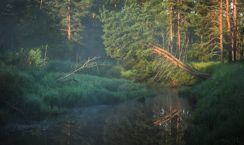 Forest River / ***