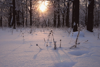 Sonnenuntergang im Winter / ***