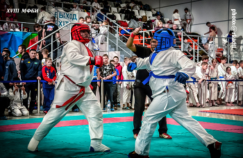 Auf Kollisionskurs. / ***