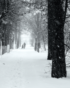 Schlechtes Wetter / ***