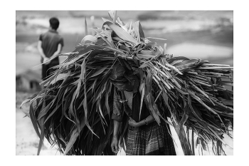 &nbsp; / "Rice&amp;Icon of Vietnam" B&amp;W art photo project