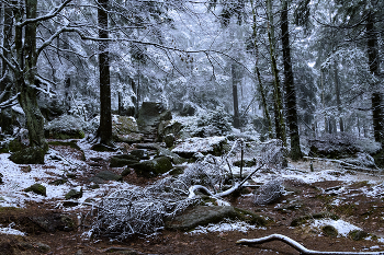 Wintermärchen. / ***