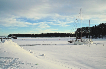 Januar-Tag / ***