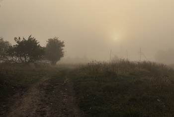 Morning ... / ***