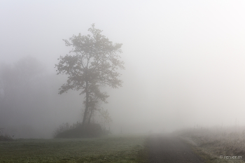 Weg ins Ungewisse / ein Weg der in die Nebelwand führt
