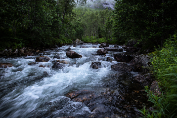 Mountain Stream / ***