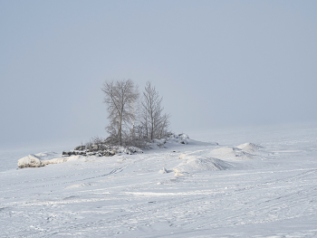 Schneesturm / ***