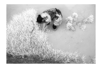 &nbsp; / &quot;Rice&amp;Icon of Vietnam&quot; B&amp;W art photo project