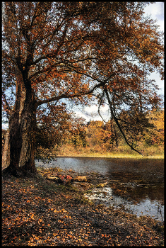 Herbst-Skizzen / ***