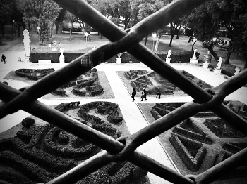 &nbsp; / garden view from the window