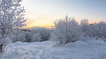 Frosty Day / ***