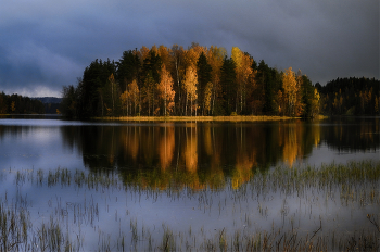 Herbstlicht / ***