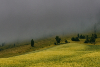 Nach dem Regen / ***