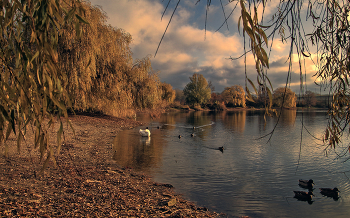 Auf dem See / ***