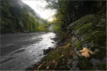 Herbst / ***