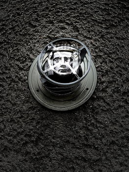 Hinter Gittern / Hervorstechend