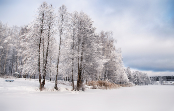 Frosty Day / ***