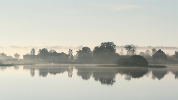 Nebliger Morgen / ***