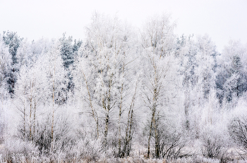 November. / ***