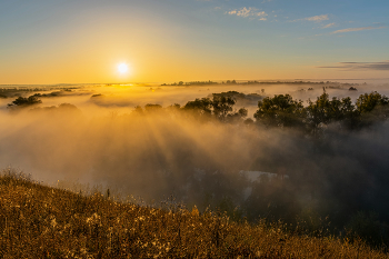 durch den Nebel / ***