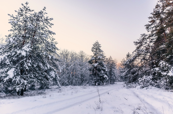 Winterabend. / ...