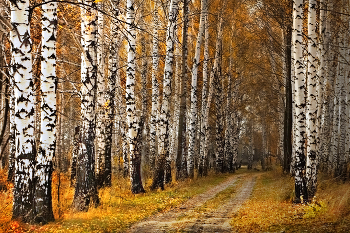 Im letzten Herbst / ***