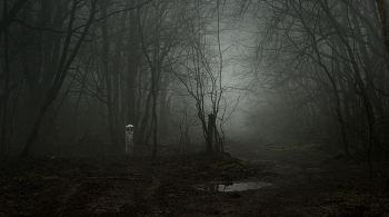 Der Weg in den Wald / ***