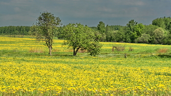 Der Beginn des Sommers / ***