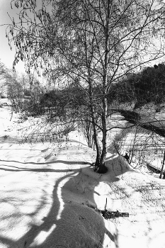 Leben rund um / ***