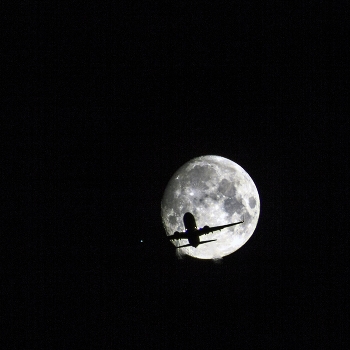 Night Flight / ***