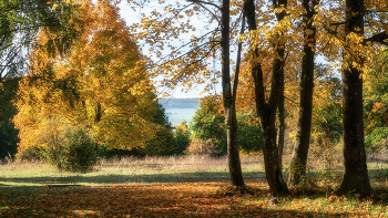 Rendezvous mit dem Fall / ***