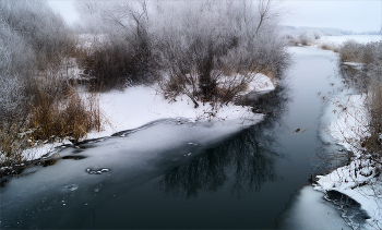 Winter / ***