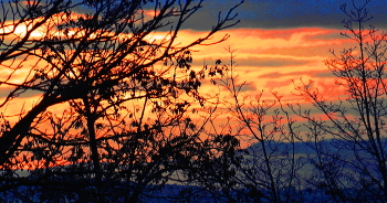 Morgendämmerung / ***