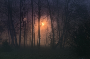 Nacht Nebel / ***