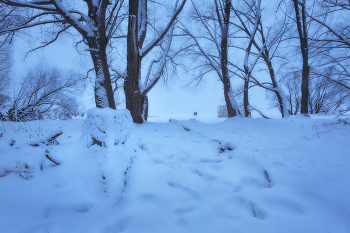 Nach Schneefall / ***