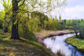 Morgen Farben sanften Licht ... / ***