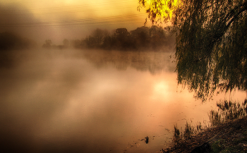 Nebel zerstreut / ***