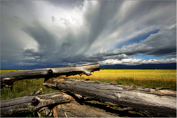 Vor dem Sturm / ***