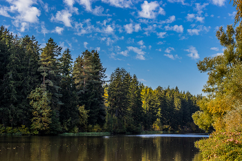 Herbst im Park ... / ***