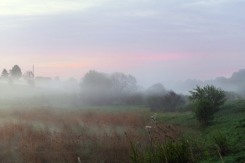 Kann Nebel / ***