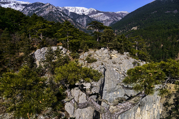 Am Südhang des Ai-Petri / ***