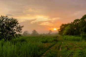 Foggy Sonnenuntergang / ***