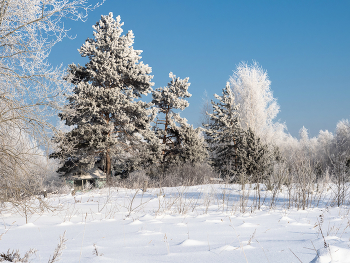Winter / ***