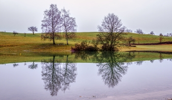 Spiegelung / sich spiegelnde Bäume im Eichener See