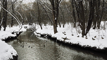 Ich gehe in den Boden / ***