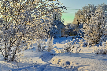 Sonniger Morgen / ***