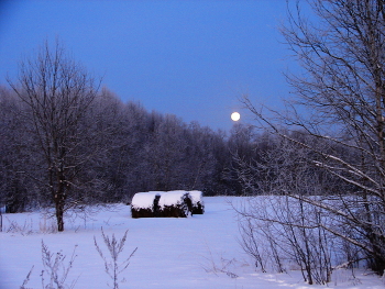 Abenddämmerung / ***